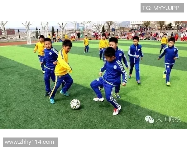 卡通足球星带你畅游绿茵场感受激情与梦想交织魅力 卡通足球星带你畅游绿茵场感受激情与梦想交织魅力